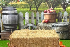 BALE-OF-HAY-WHEEL-BARREL