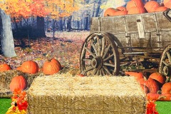HAY-STACK-AND-WAGOON