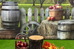 WHEEL-BARREL-STUMP