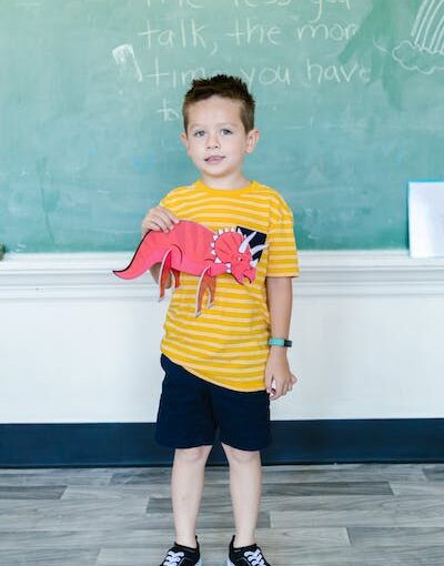 Little boy posing for school picture