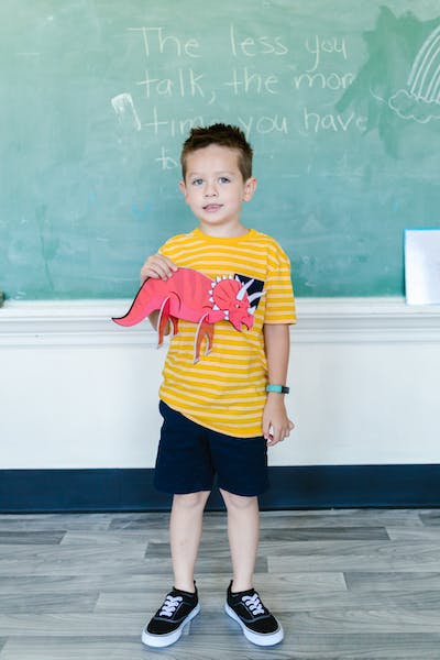 Little boy posing for school picture