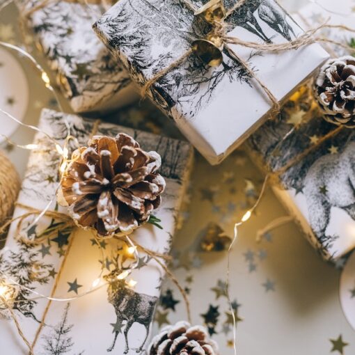 Gift Ideas Using Portrait Pictures During the Holidays