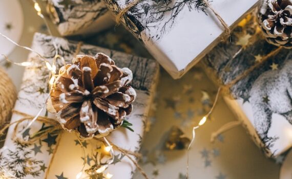 Gift Ideas Using Portrait Pictures During the Holidays