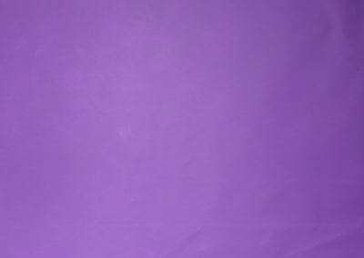 Other Purple Violet