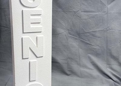 Senior graduation portrait with white Senior prop on gray backdrop by ABC School Photography