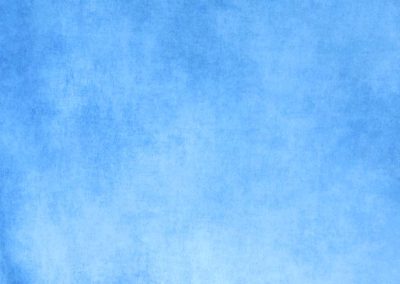 Traditional school portrait on Alluring Blue backdrop by ABC School Photography in New York